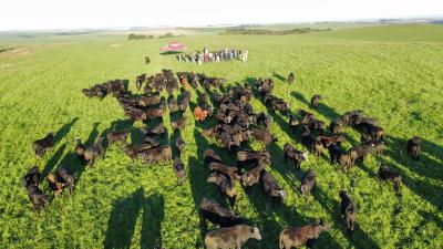 Grupo de produtores do Sindicato Rural de Laranjeiras do Sul realiza visitas técnicas em Guarapuava